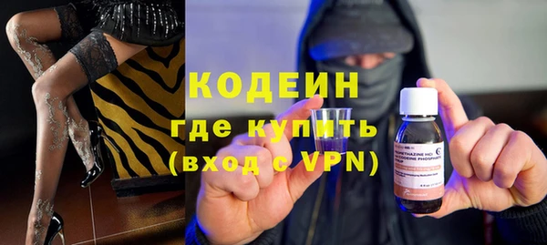 крисы Абаза