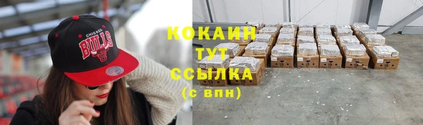 крисы Абаза