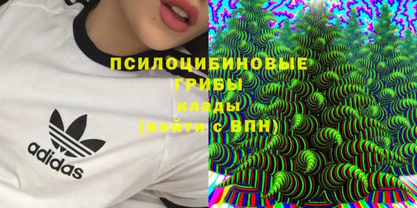 крисы Абаза