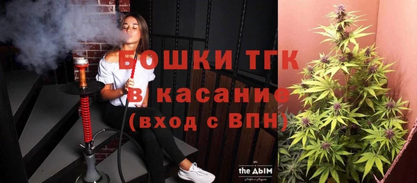 крисы Абаза
