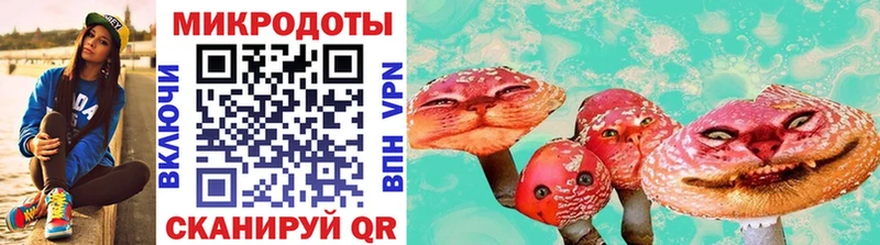 Галлюциногенные грибы Psilocybine cubensis  где можно купить   Учалы 
